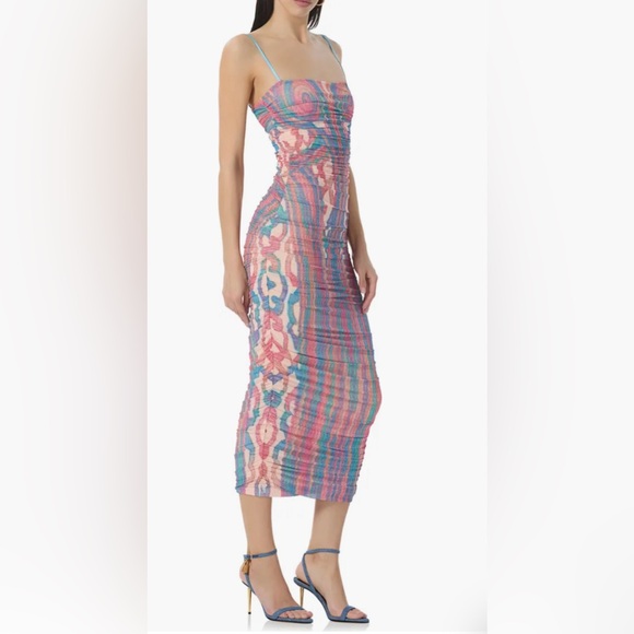 AFRM Dresses & Skirts - AFRM Hazel Printed Ruched Mesh Midi Dress NWT